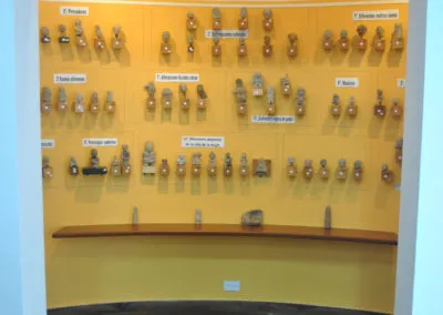Nicho Colección Tumaco-La Tolita