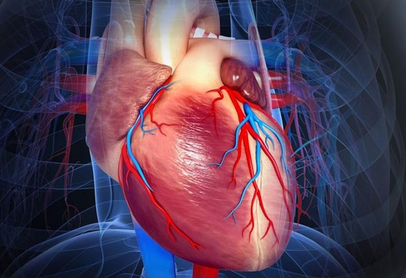 10 claves para tener un sistema cardiovascular sano en su vejez