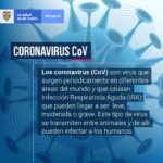 Información general Coronavirus