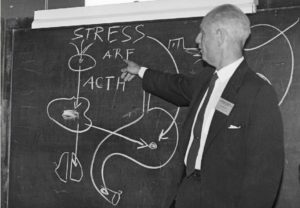 Hans-Selye-endocrinología
