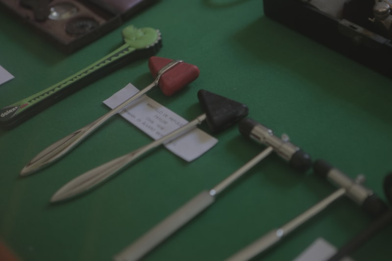 La voz de la Academia 11