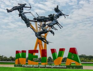 Comunicado Academia Nacional de Medicina - Capítulo Huila