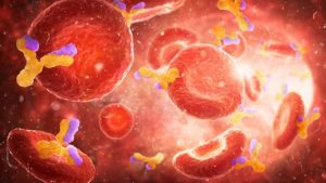 plasma-covid-19