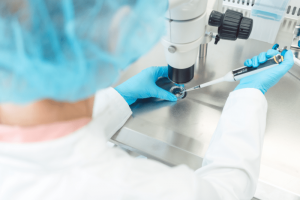 Desarrollado-en-laboratorio-el-primer-modelo-de-embrion-a-partir-de-celulas-humanas