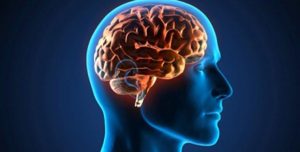neuronas-cerebro