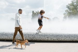 Beneficios de un perro en casa