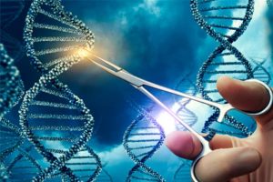 CRISPR-ADN