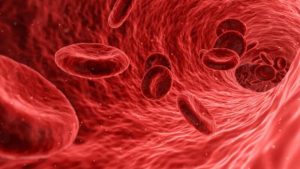 globulos-rojos-sangre-anemia
