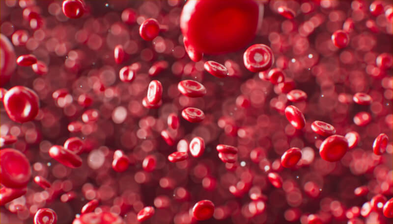 Que los glóbulos rojos sean rojos importa más de lo que parece ...