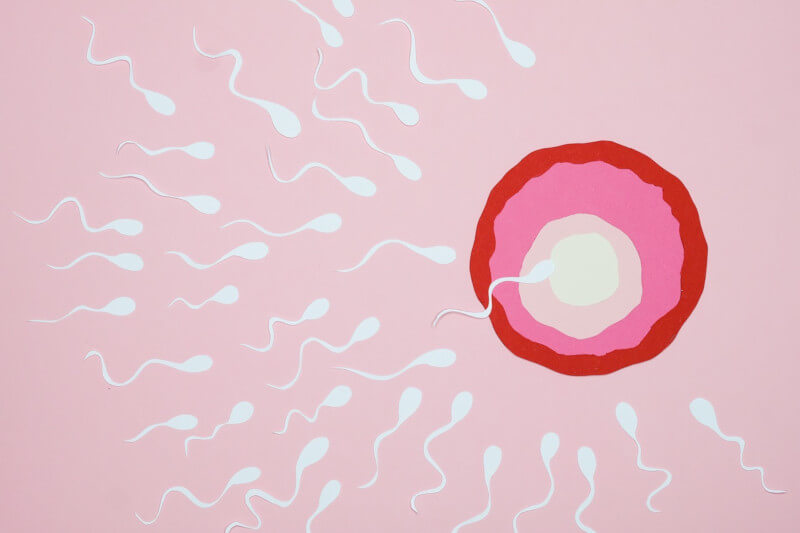 La concentración de esperma de los varones se ha reducido a la mitad en solo 50 años