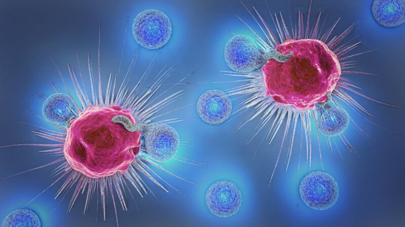 Ilustración en 3D de células cancerosas y linfocitos