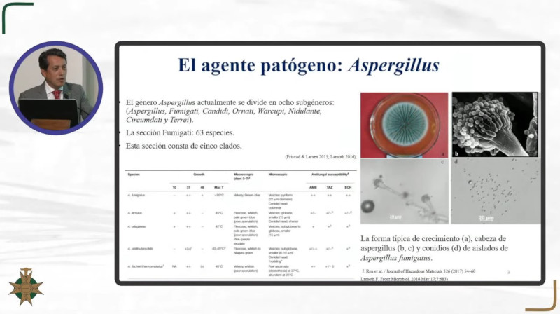 aspergillus-Dr-Carlos Álvarez