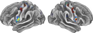 zonas especiales en las áreas de movimiento que conectan con áreas implicadas en el pensamiento