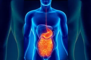 historia_de_la-gastroenterologia