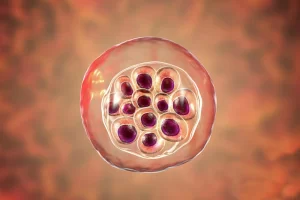 plasmodium_vivax