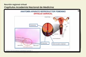 anatomia_aparato_reproductor_femenino