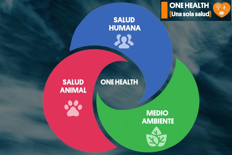 “One Health” como alternativa para la prevención y control de futuras pandemias