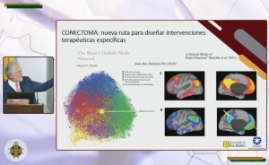 Estimulación_magnética_transcraneal