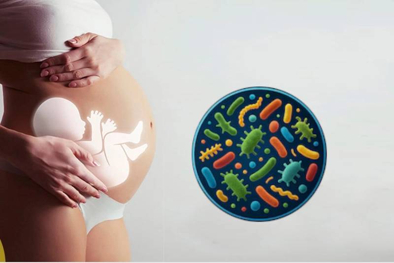 Alimentación láctea en la primera infancia al desarrollar la microbiota: nutrición y salud futura