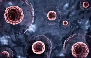 celula_madre_para_terapia